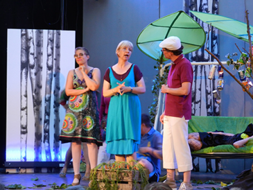 Ein Sommernachtstraum